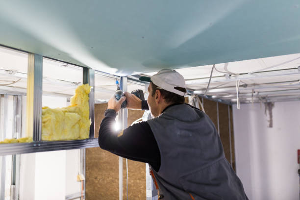 Best Insulation Contractors for Homes  in Kingston, IL