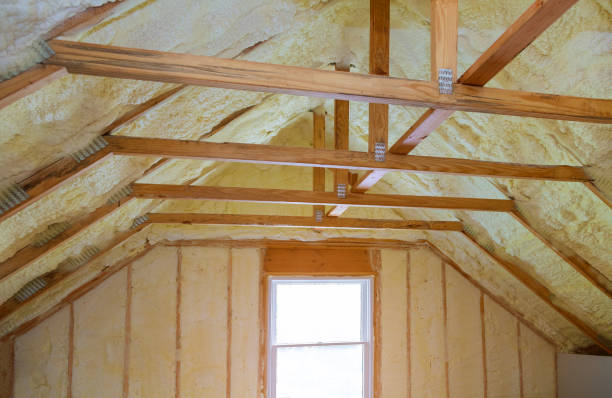 Best Insulation Inspection Services  in Kingston, IL