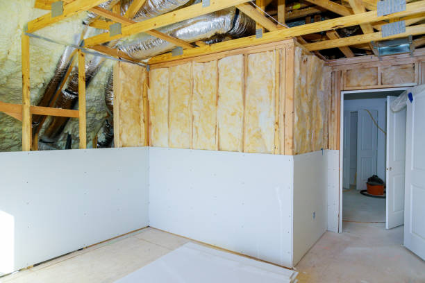 Best Cellulose Insulation  in Kingston, IL