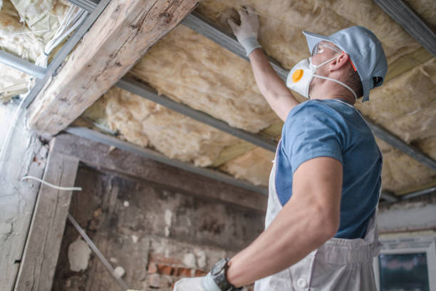 Attic Insulation Near Me in Kingston, IL