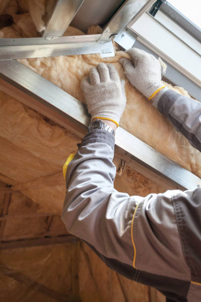 Insulation Replacement Services in Kingston, IL