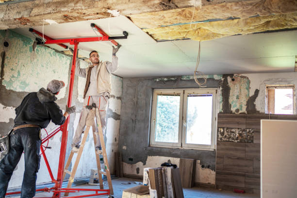 Best Insulation Removal  in Kingston, IL