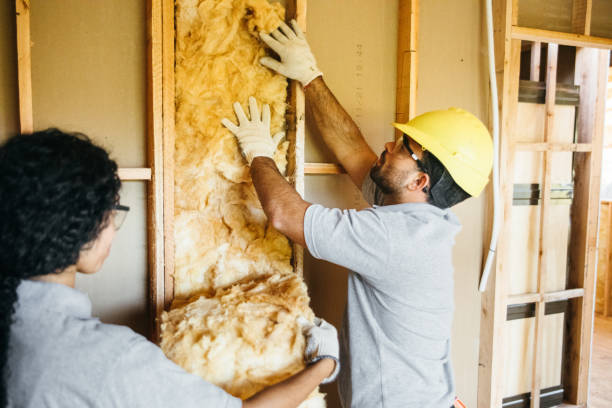 Best Cellulose Insulation  in Kingston, IL