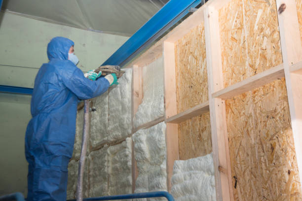 Best Energy-efficient Insulation  in Kingston, IL