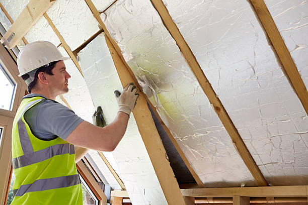 Insulation Inspection Services in Kingston, IL