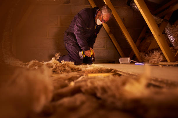 Best Insulation Inspection Services  in Kingston, IL